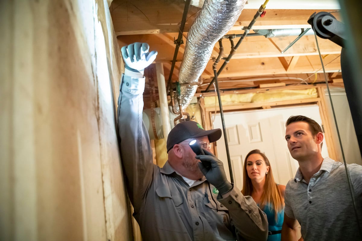 Clauser Tree Care vs. Joshua Tree 2 Service Options for Chalfont, PA